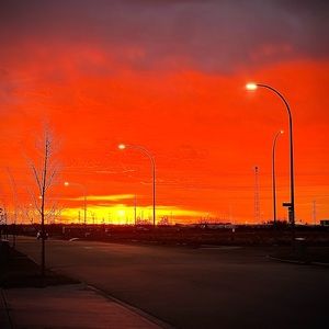 Meet your Posher, Darius